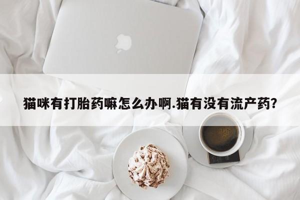 打胎药怎么购买猫咪有打胎药嘛怎么办啊.猫有没有流产药？